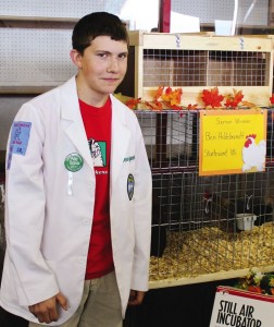 The Great Guinea Caper brings local youth a ‘Pullet Surprise’ win