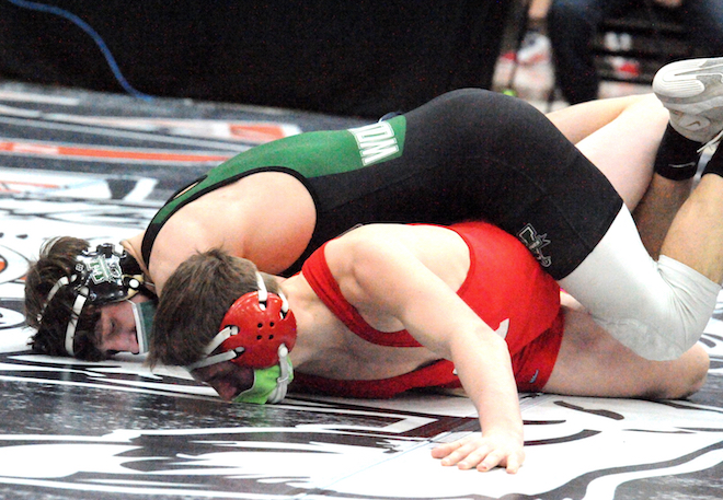 Wolverine wrestlers set for state